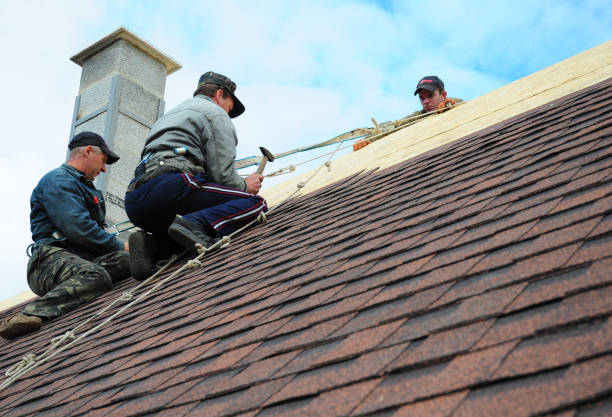 Best Residential Roofing Contractor  in Primera, TX