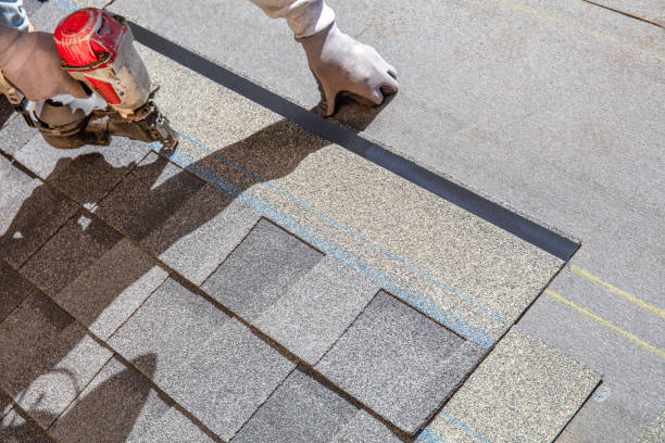 Best Storm Damage Roof Repair  in Primera, TX