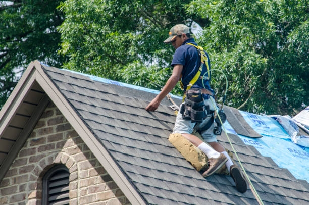 Gutter Installation and Roofing in Primera, TX